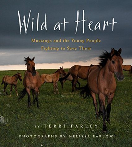 Creative Writing Workshop with Terri Farley