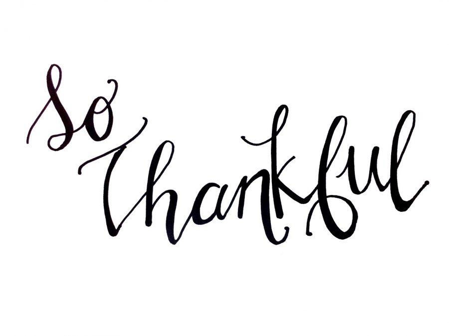 Lets Celebrate: What We Are Thankful For