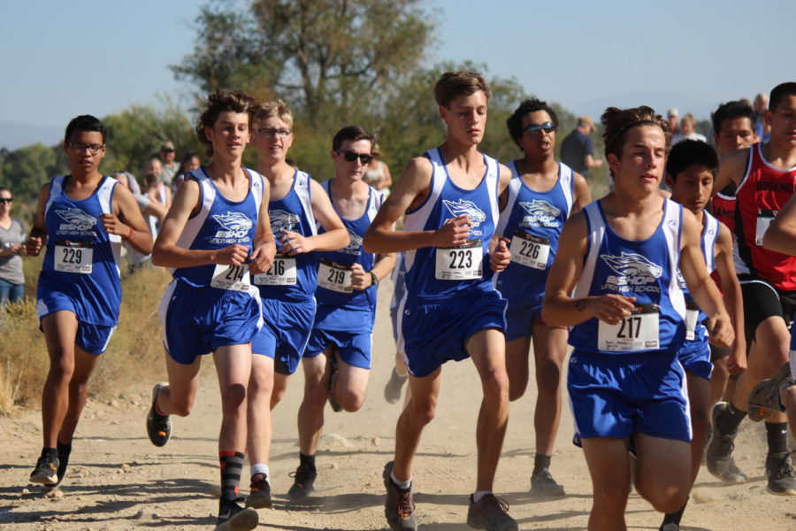 Cross Country Preview