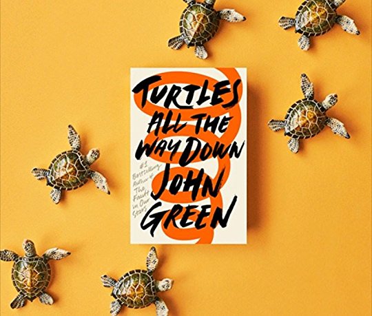 turtles all the way down signed copy