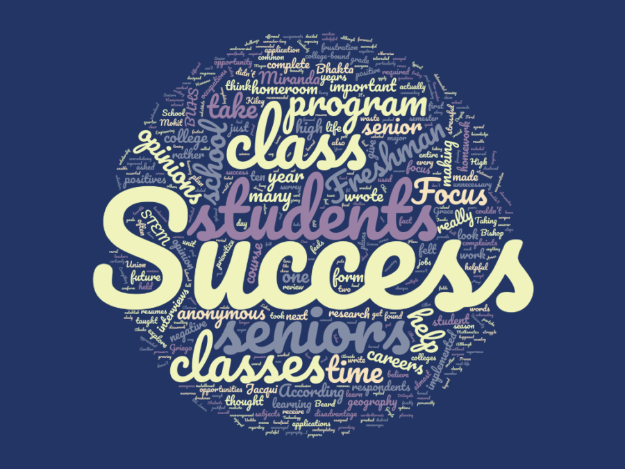 Success+program+word+bubble+created+by+Paige+Lary+using+wordclouds.com