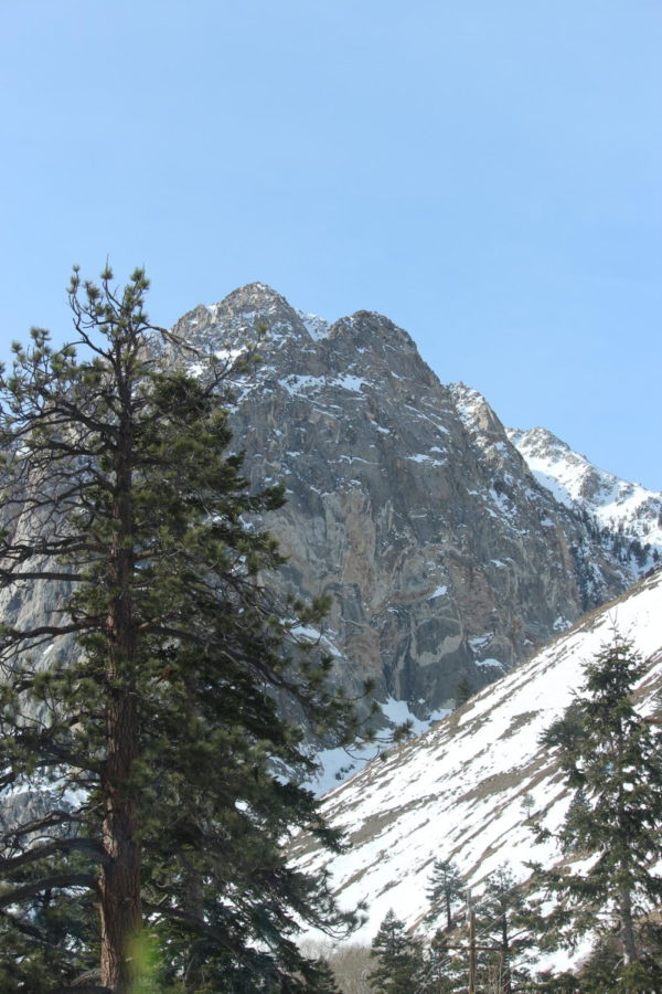 snowy mountains