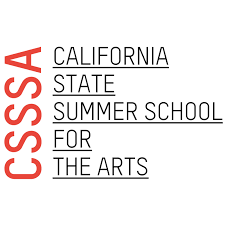 Interested in the Arts? Than CSSSA Is For You!