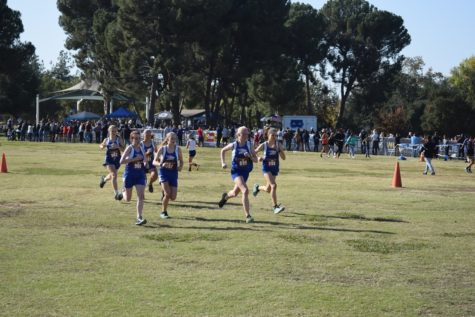 Cross Country runners