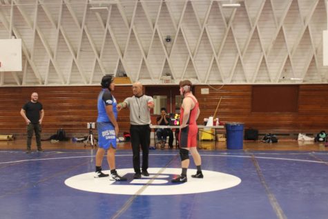 Wrestling