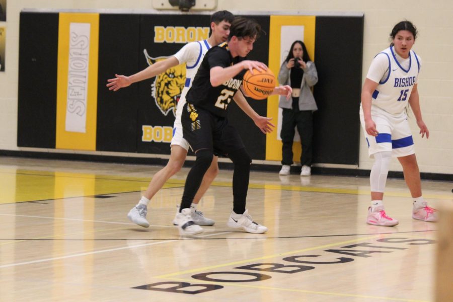 Bishop Broncos