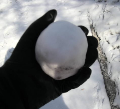 Snowball 2023