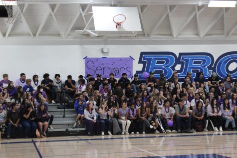 Upcoming Senior Activites