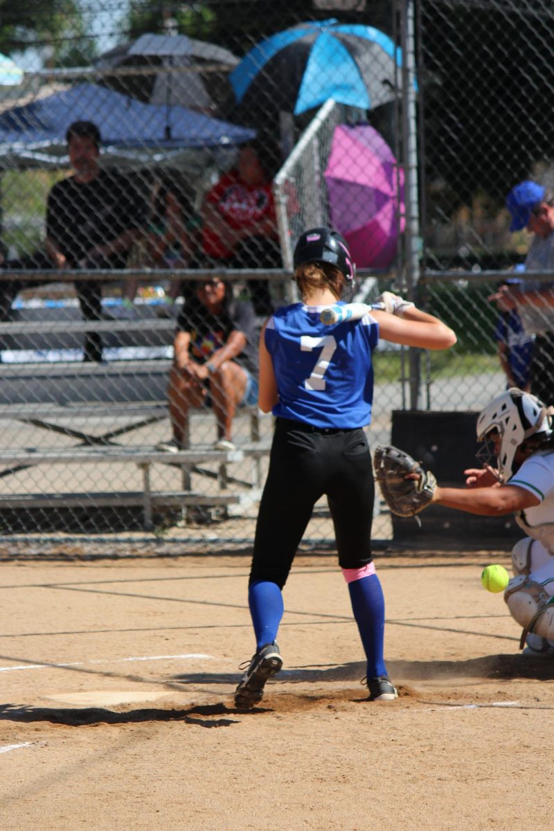 Number 7, Cambrie Lanphear