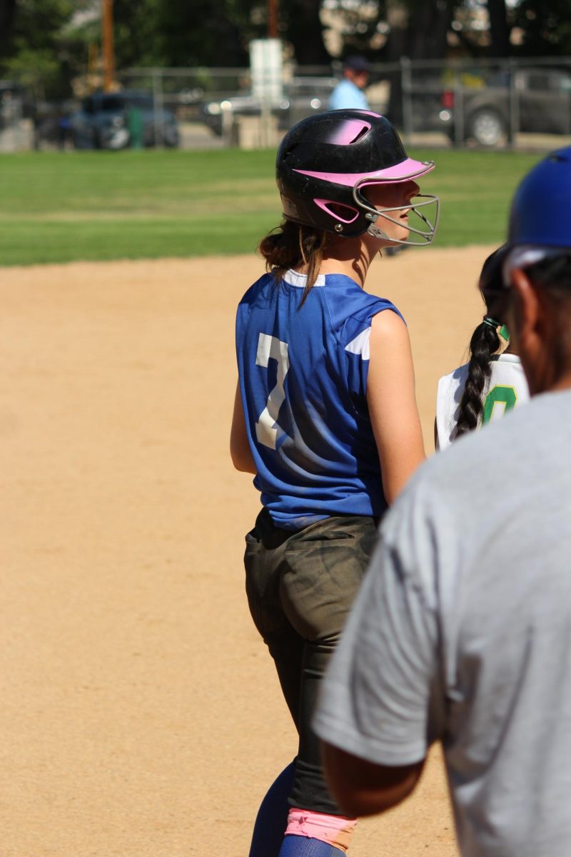 Number 7, Cambrie Lanphear