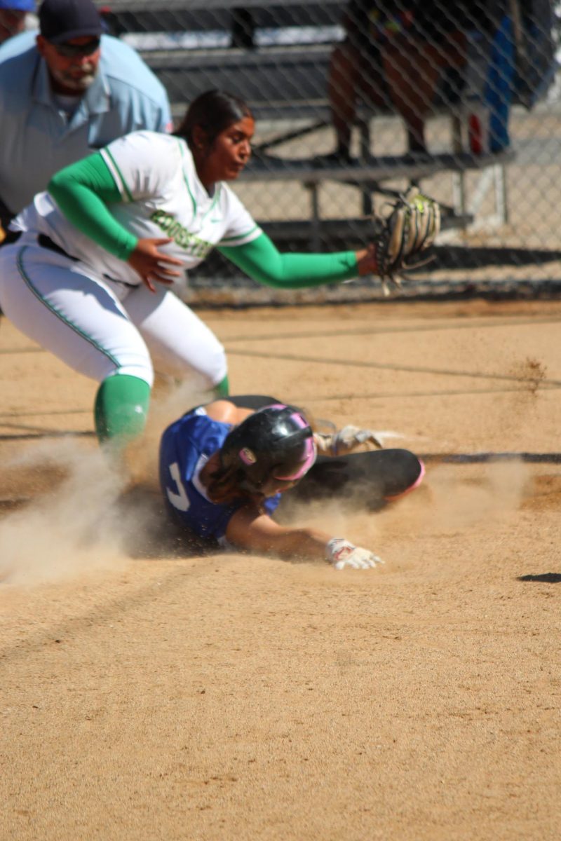 Number 7, Cambrie Lanphear