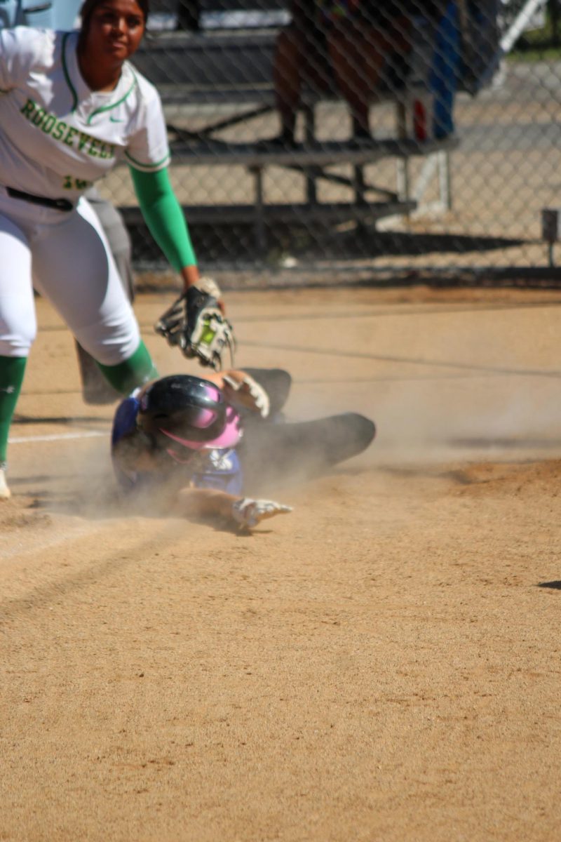 Number 7, Cambrie Lanphear