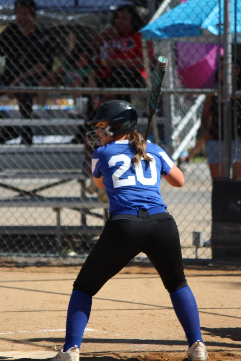 Number 20, Laila Beall