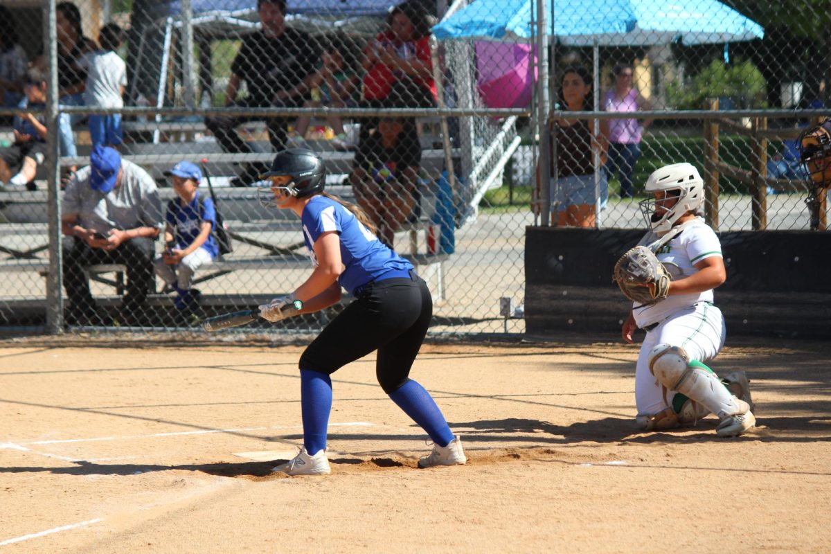 Number 20, Laila Beall