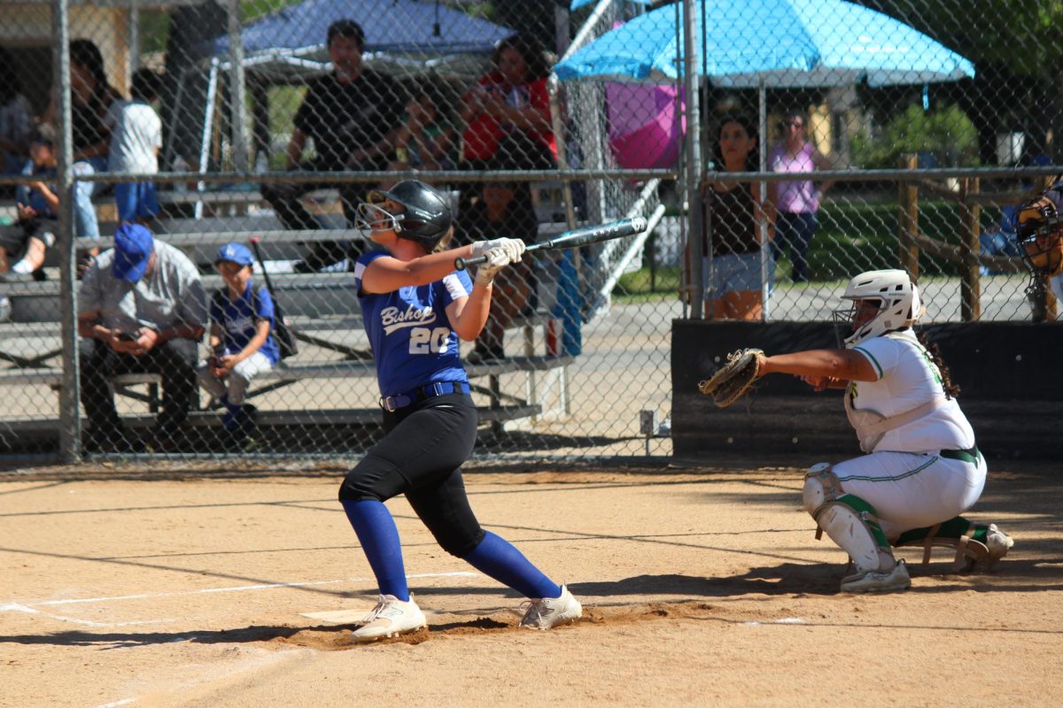 Number 20, Laila Beall
