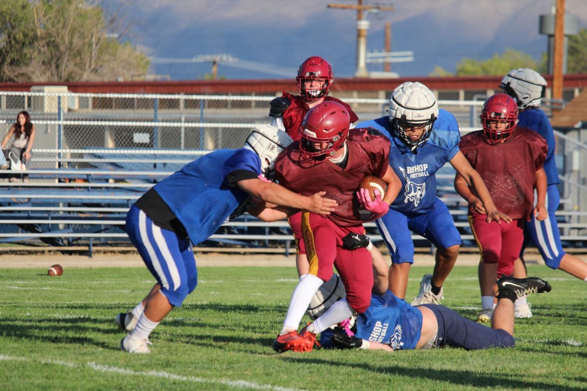 Broncos Vs. Mammoth Scrimmage 8/15
