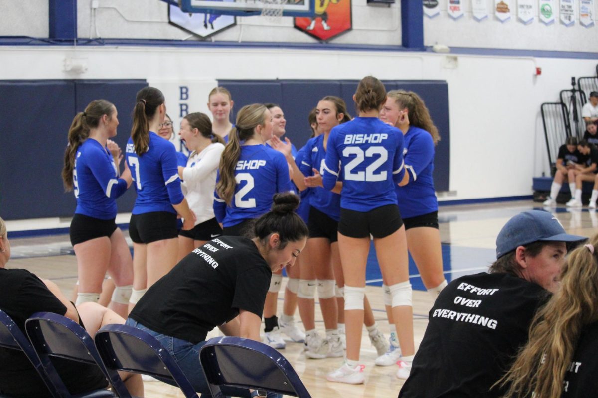 Varsity Volleyball  