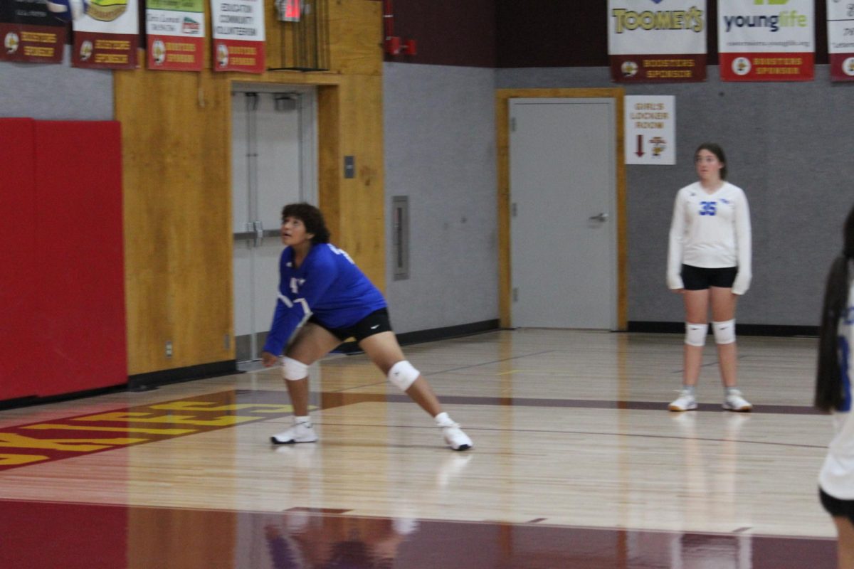 Desirae Brown #41