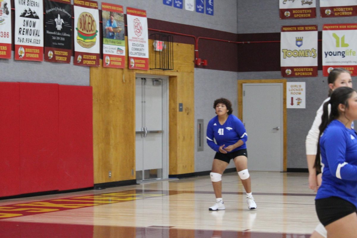 Desirae Brown #41