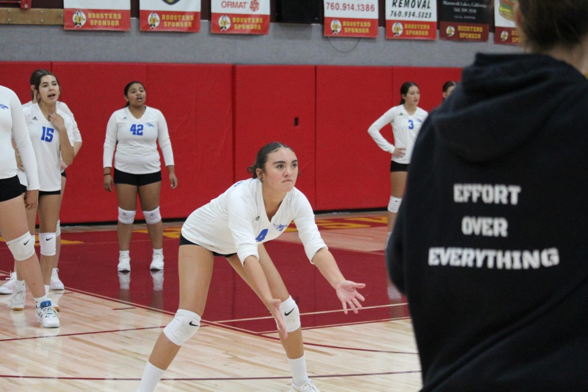 Charlee Morris #4