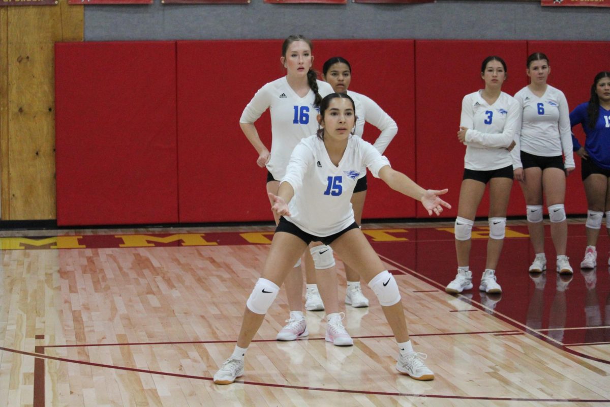 Lola Martinez #15