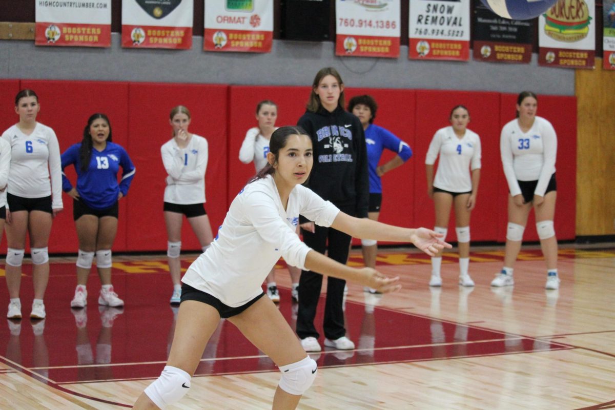 Lola Martinez #15