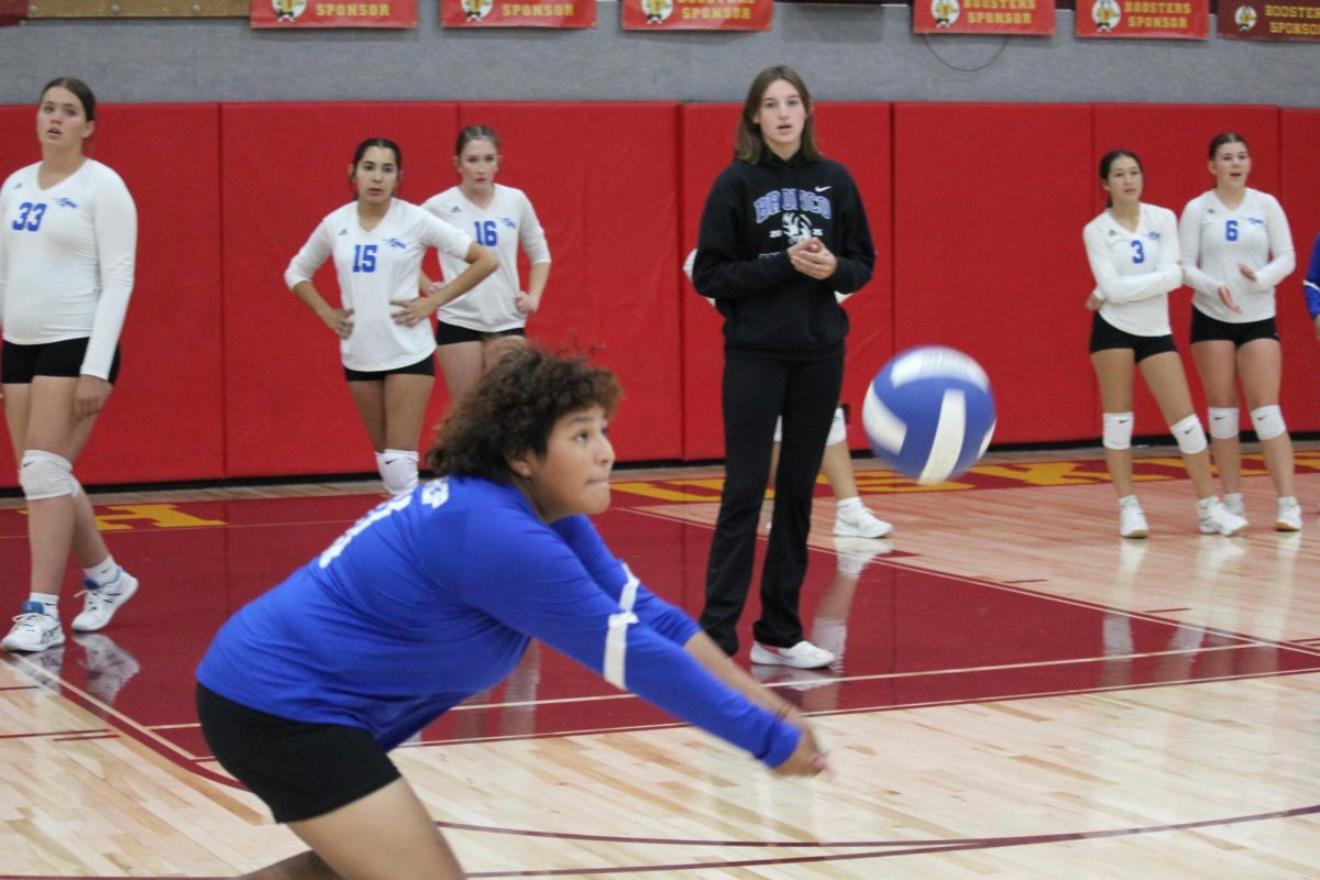 Desirae Brown #41