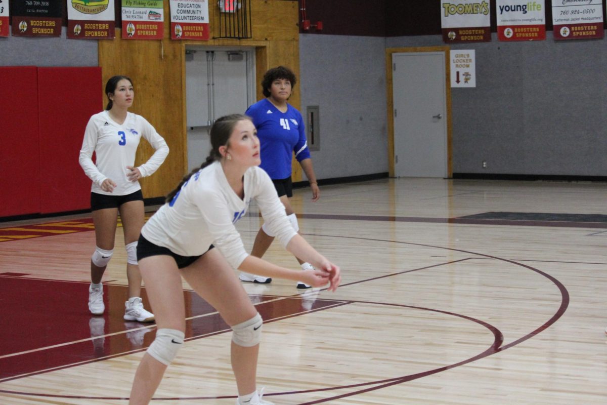 Ellie Soloman #16