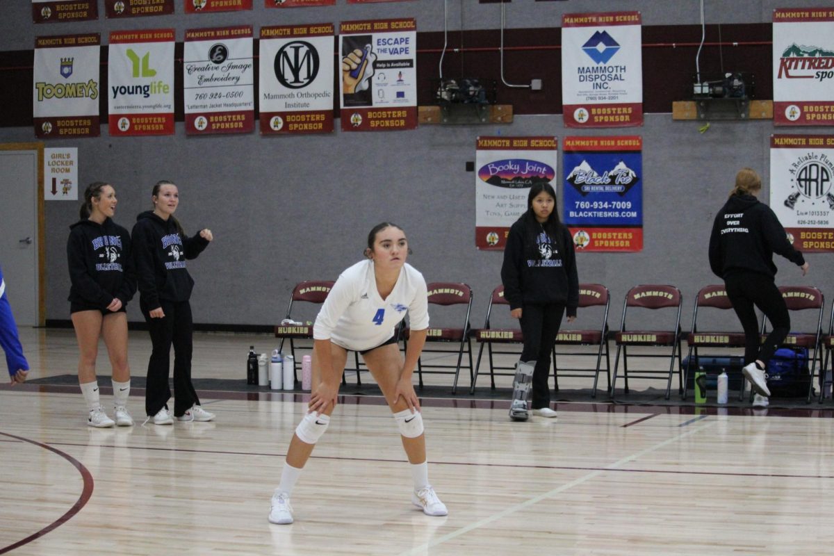 Charlee Morris #4
