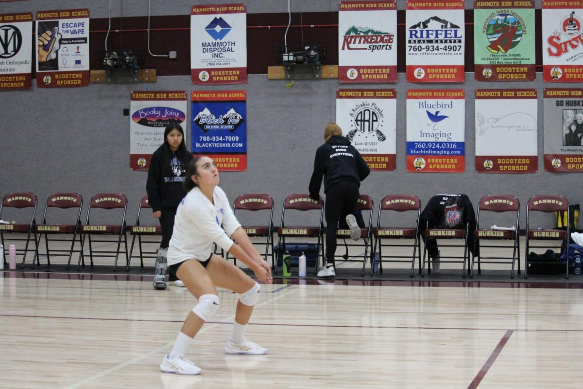 Charlee Morris #4