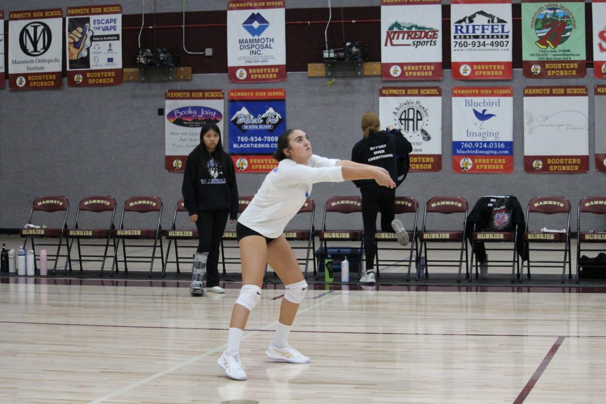 Charlee Morris #4