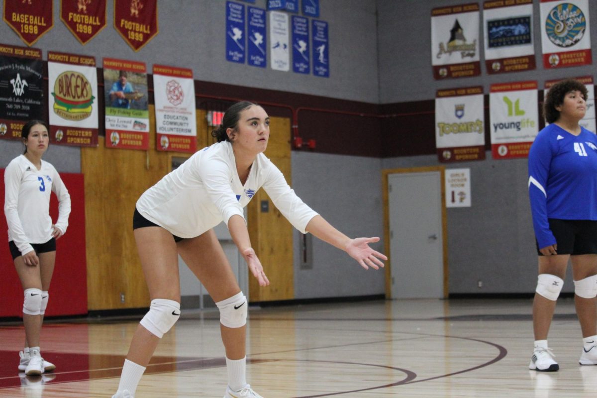 Charlee Morris #4