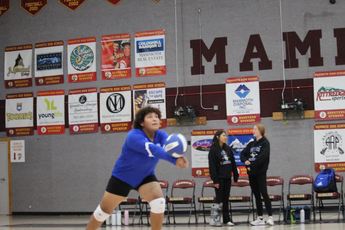 Desirae Brown #41