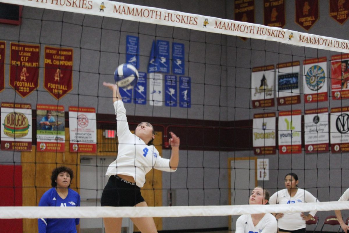 Charlee Morris #4