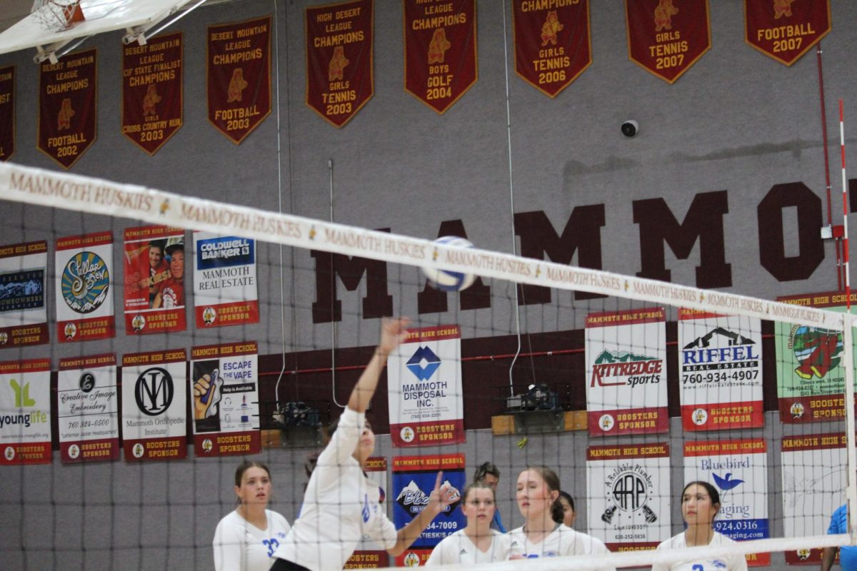 Lola Martinez #15