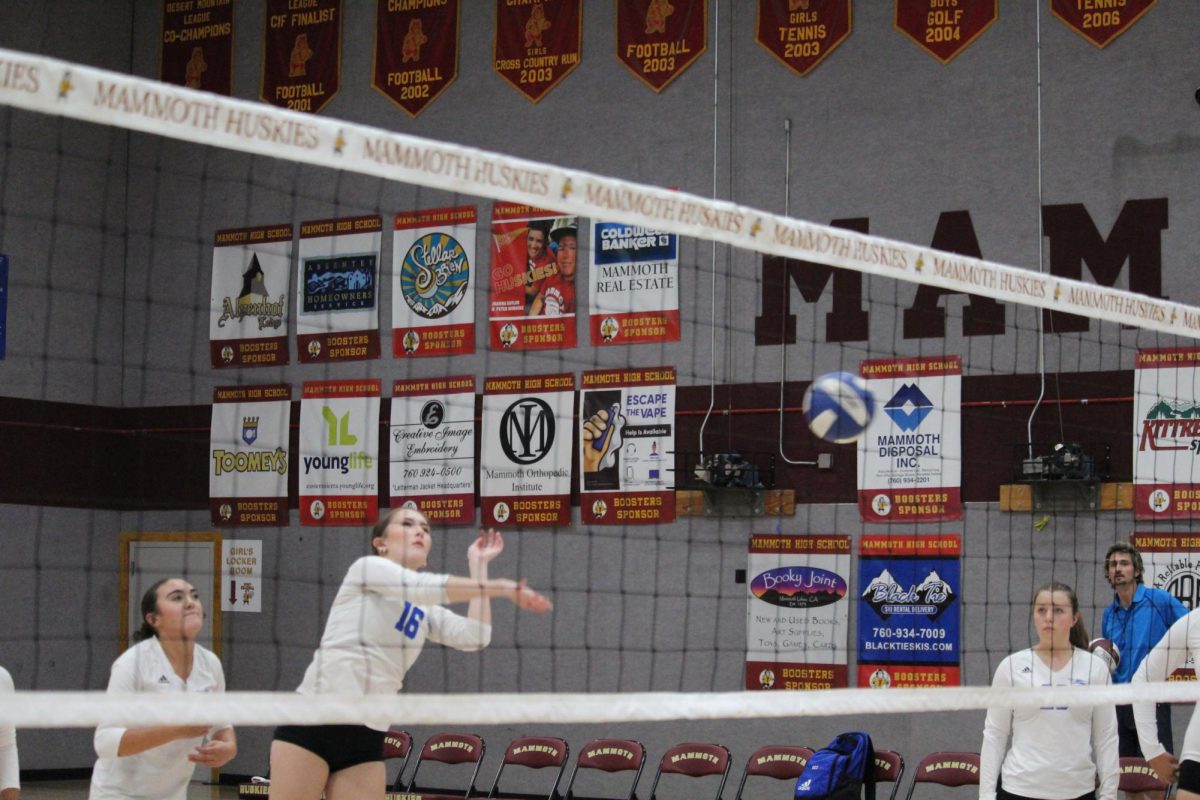 Ellie Soloman #16