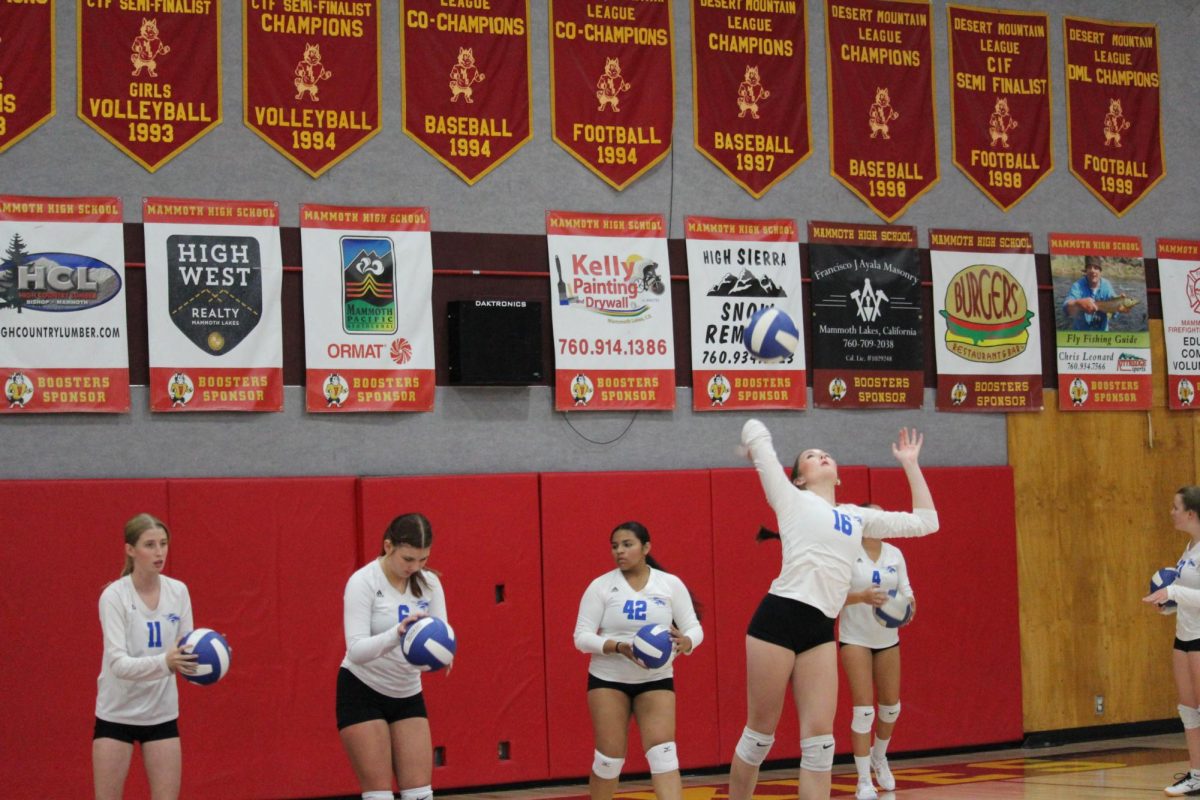 Ellie Soloman #16
