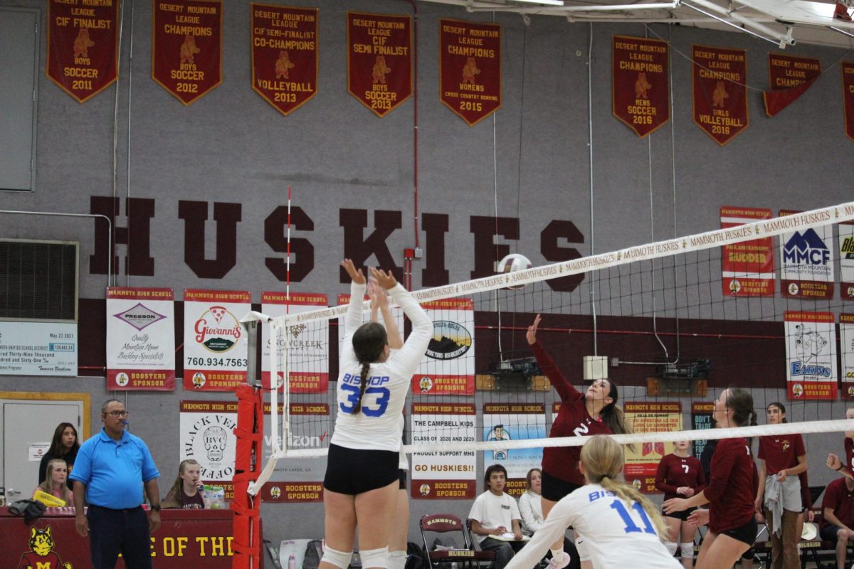 Savanna Gastelum #33, Ellie Soloman #16
