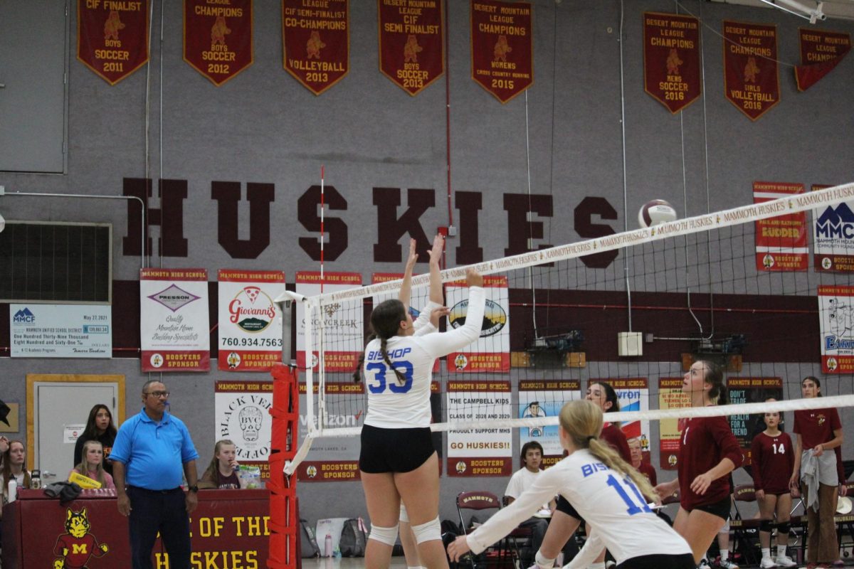 Savanna Gastelum #33, Ellie Soloman #16