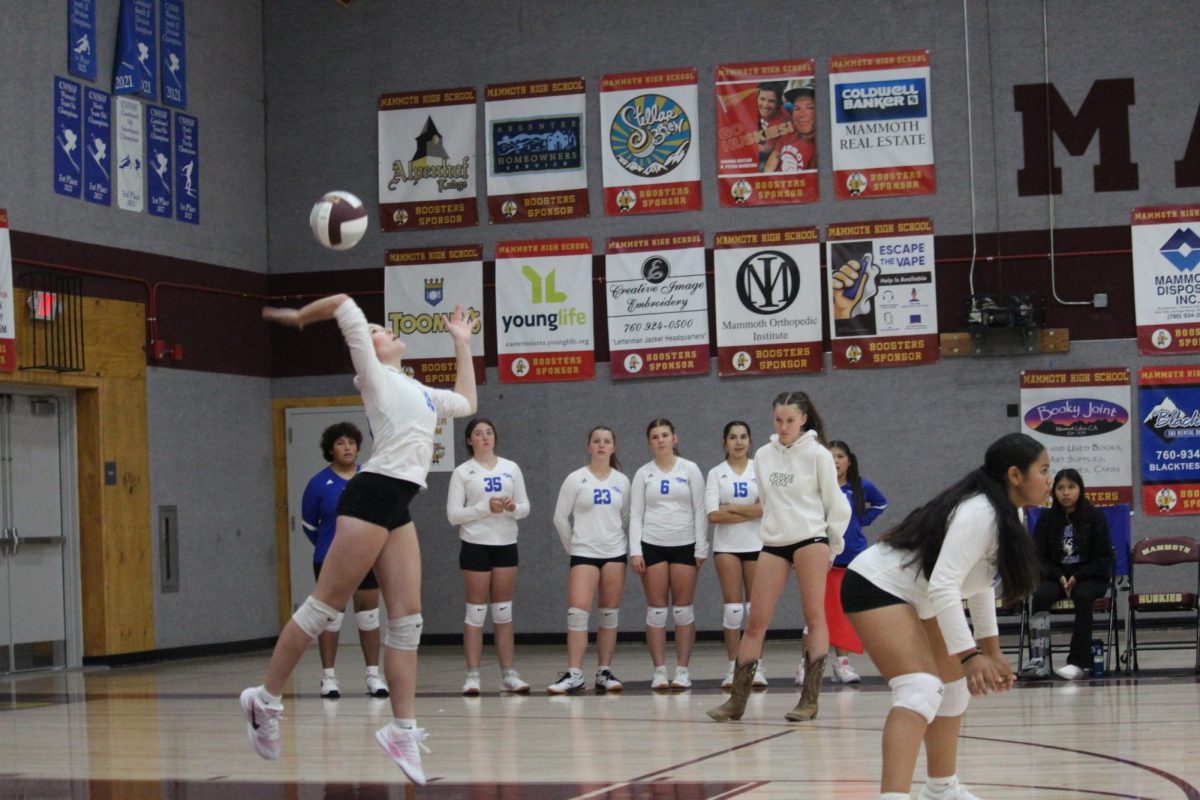 Ellie Soloman #16