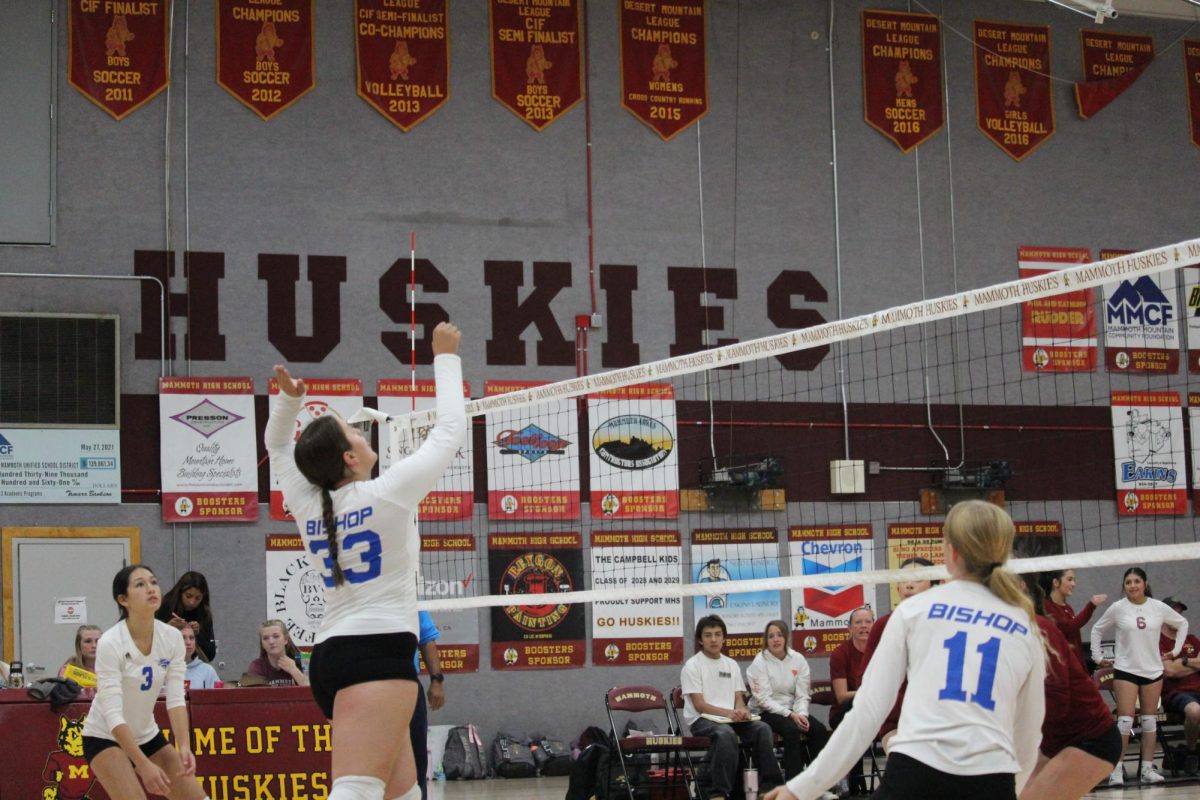 Savanna Gastelum #33, Ali Rainville #11, Xlany Michel #3
