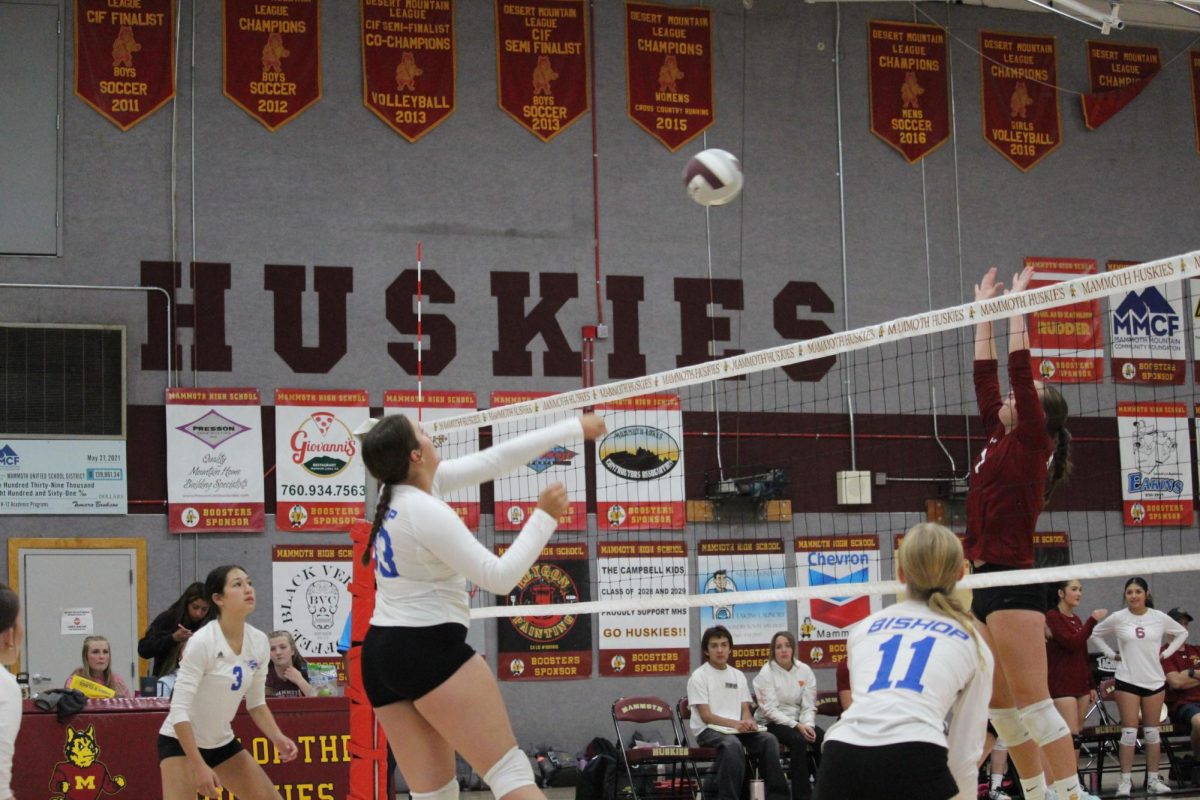 Savanna Gastelum #33, Ali Rainville #11, Xlany Michel #3