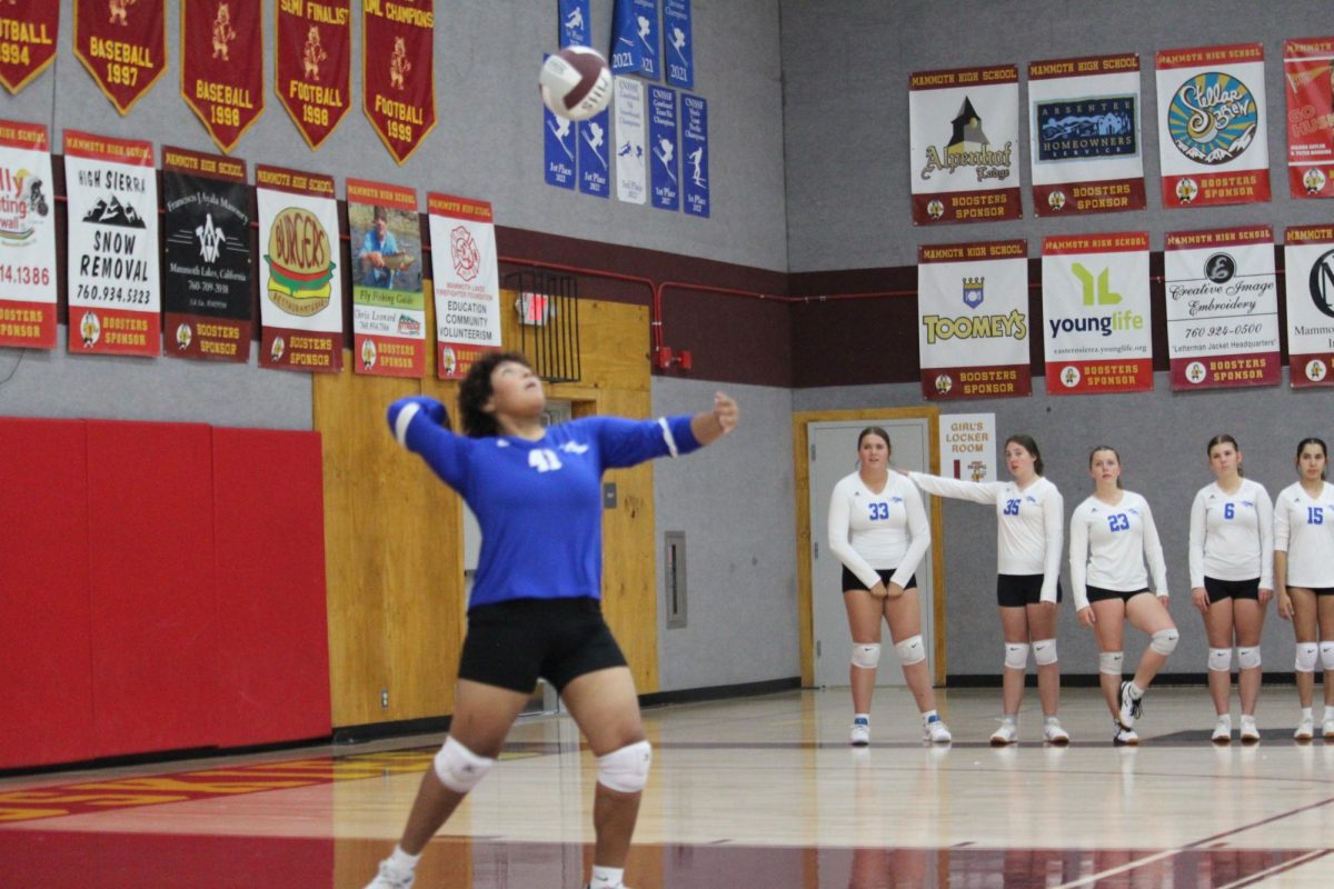 Desirae Brown #41