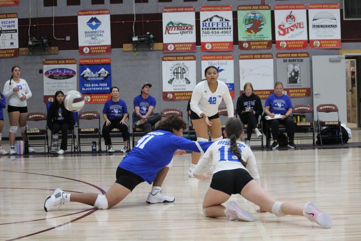 Desirae Brown #41, Ellie Soloman #16, Julisa Buff-Roman #42