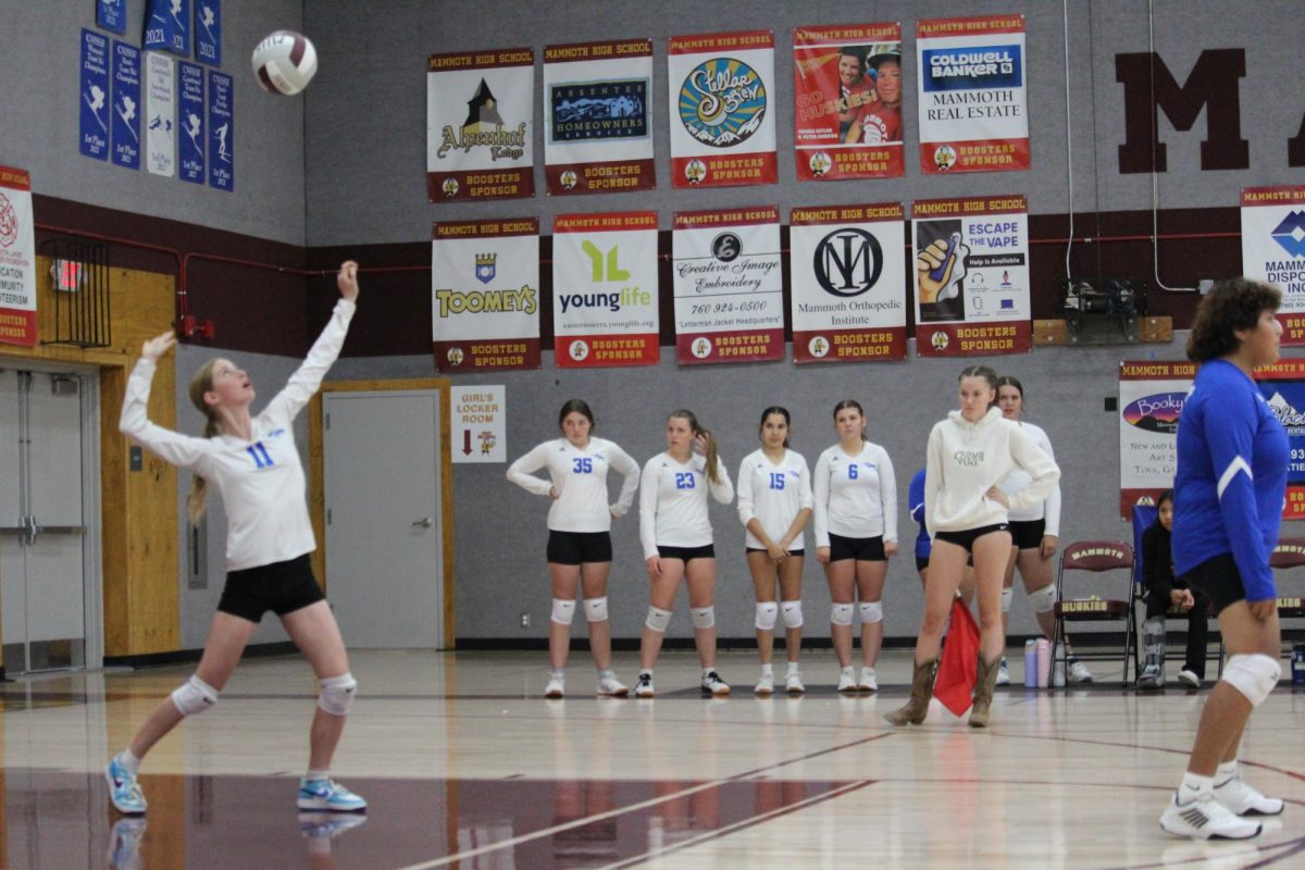 Ali Rainville #11
