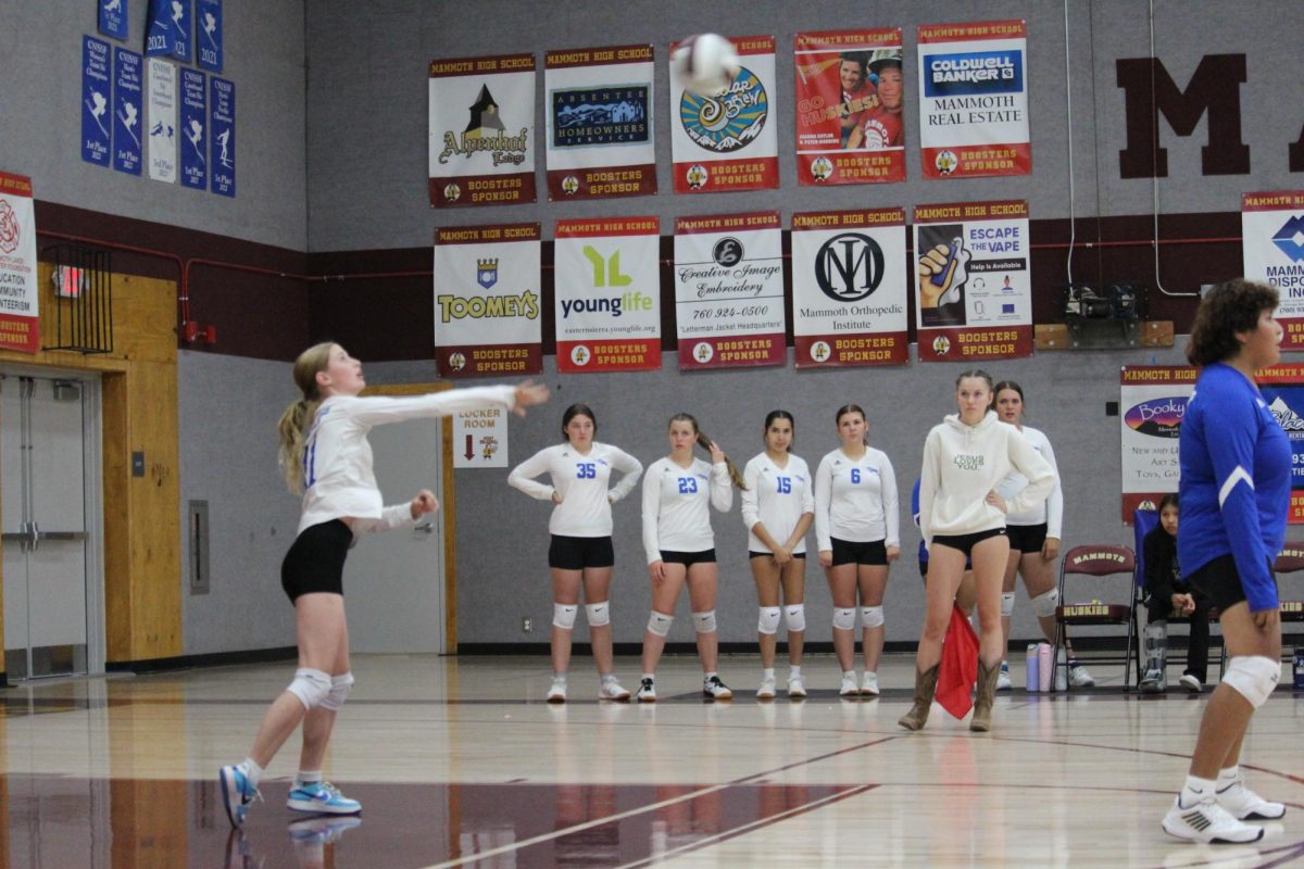 Ali Rainville #11
