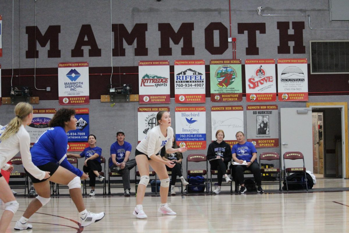 Desirae Brown #41, Ellie Soloman #16, Ali Rainville #11
