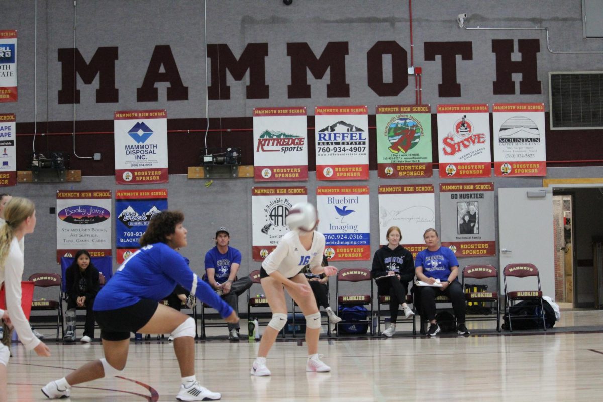 Desirae Brown #41, Ellie Soloman #16, Ali Rainville #11
