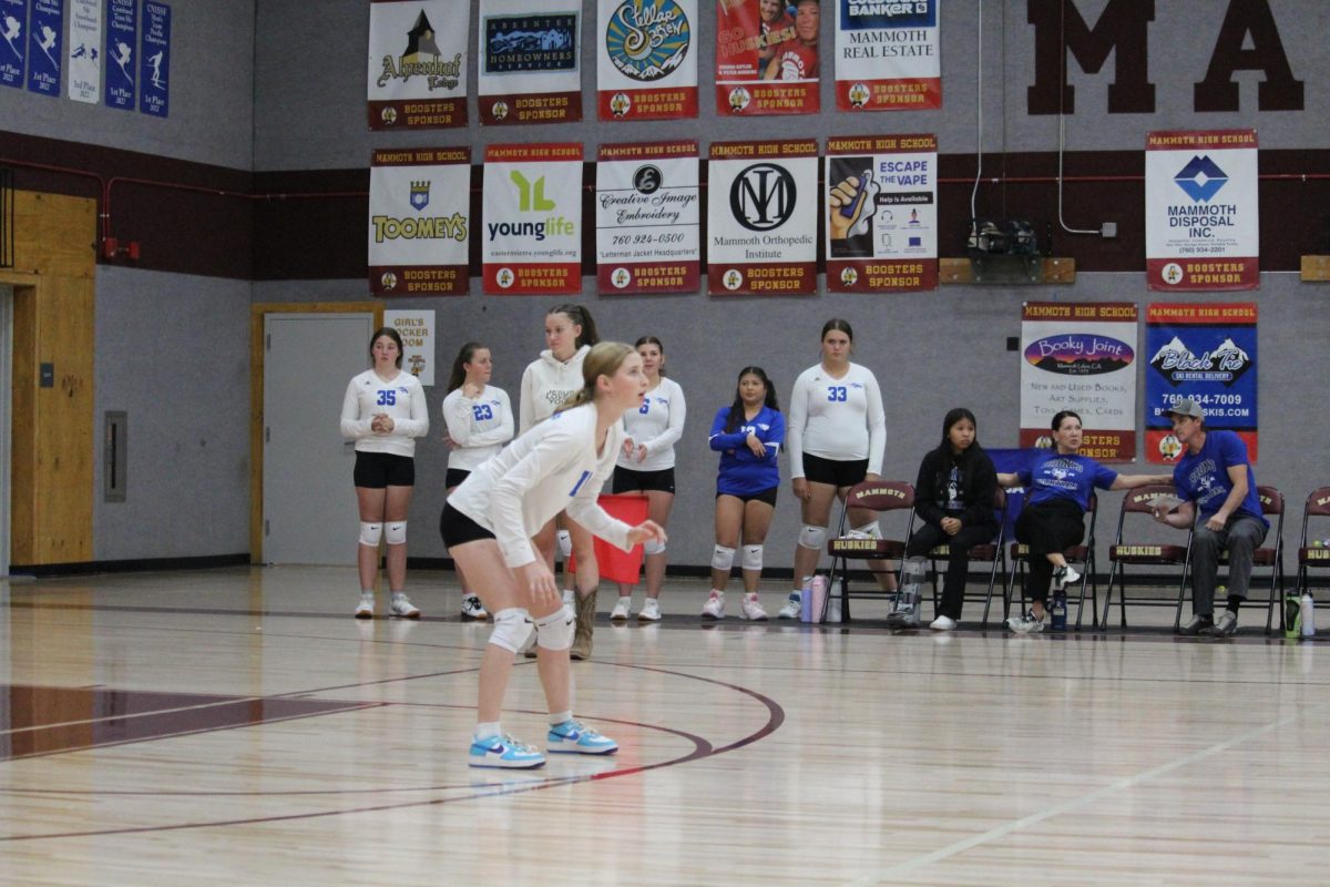 Ali Rainville #11