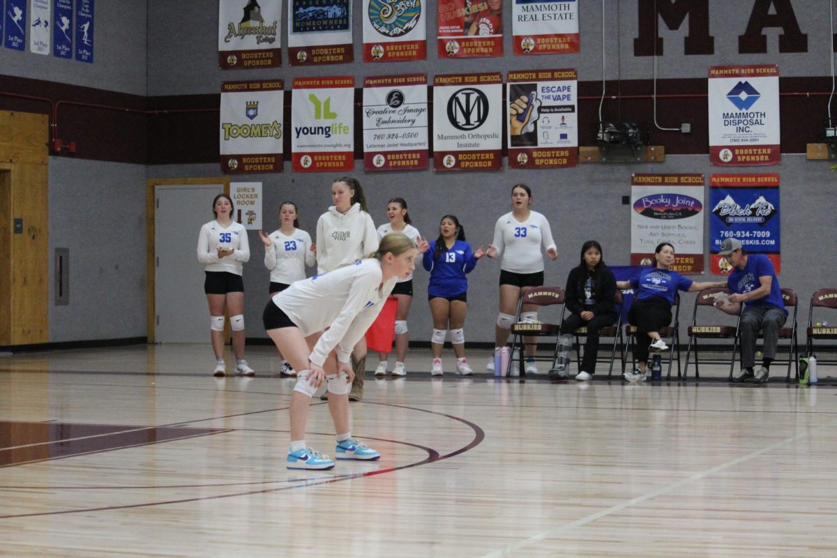 Ali Rainville #11